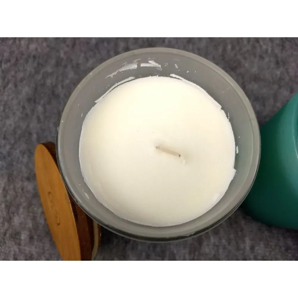 Chesapeake Bay Mind Body Candle Peace Tranquility Nourish Renew 1-Wick Lot/2 NEW
